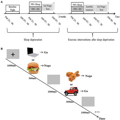 Aerobic Exercise Alleviates the Impairment of Cognitive Control Ability Induced by Sleep Deprivation in College Students: Research Based on Go/NoGo Task